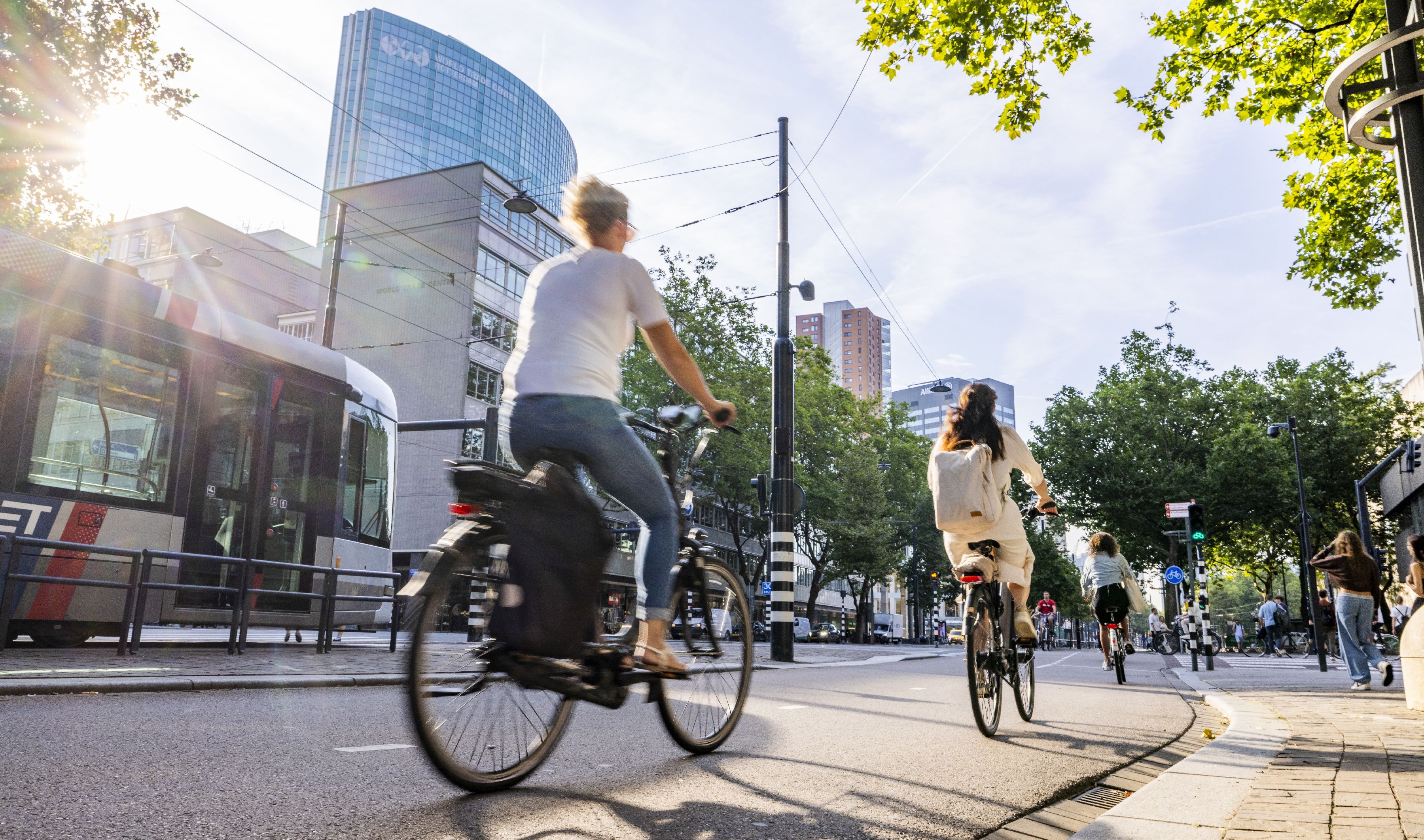 Cyclists riding together along a tree-lined path in Rotterdam